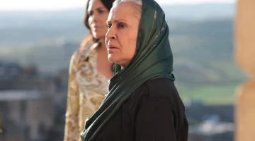 Далекий город 1 сезон 25 серия