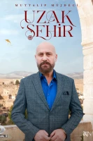 Далекий город постер сериала