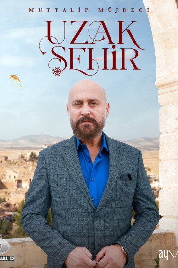 Далекий город постер сериала