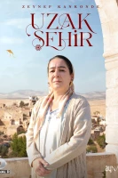 Далекий город постер сериала