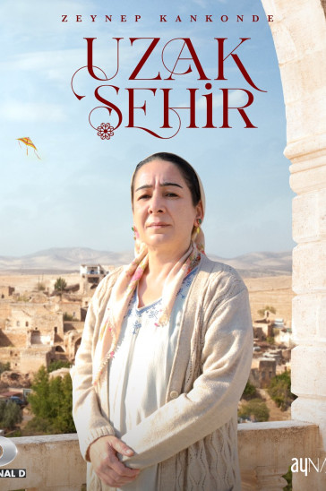 Далекий город постер сериала