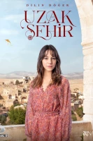 Далекий город постер сериала