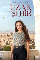 Далекий город постер сериала