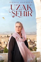 Далекий город постер сериала